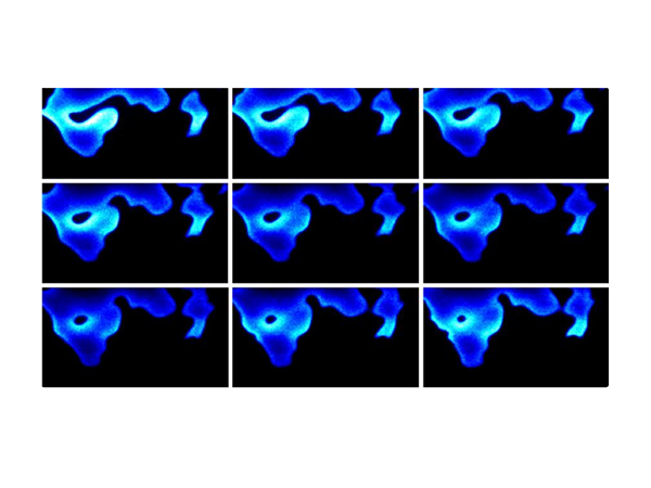 高速成像测量系统的重要部分