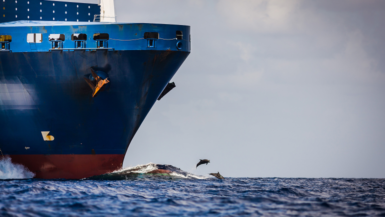 在船模实验池中使用PIV跟踪方向舵尖端产生的漩涡